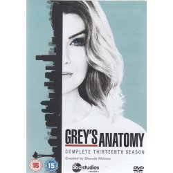 Grey's Anatomy - S�son 13 (DVD)