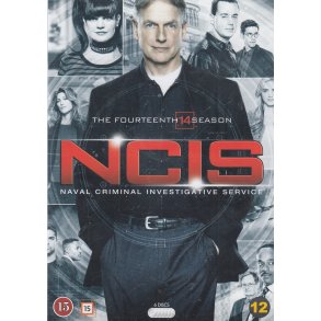 NCIS - S�son 14 (DVD)