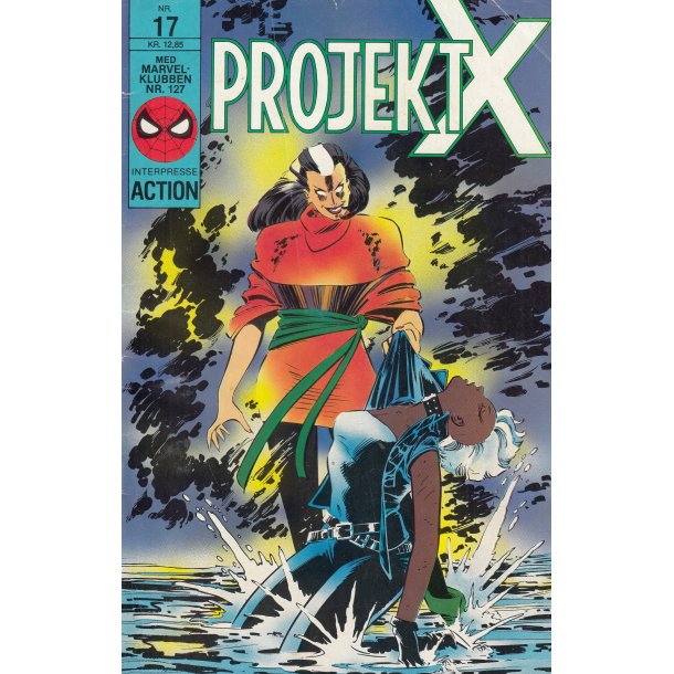 Projekt X 17 