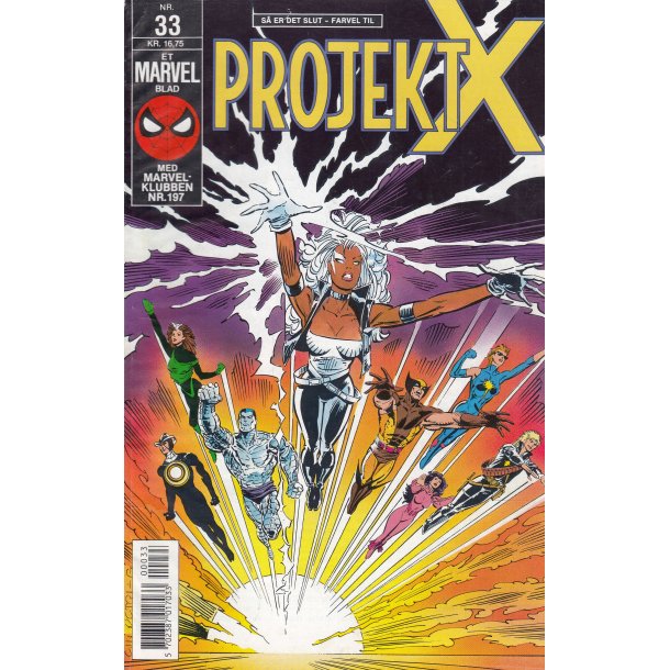 Projekt X 33