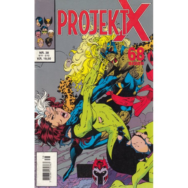 Projekt X 38