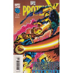 Projekt X 78