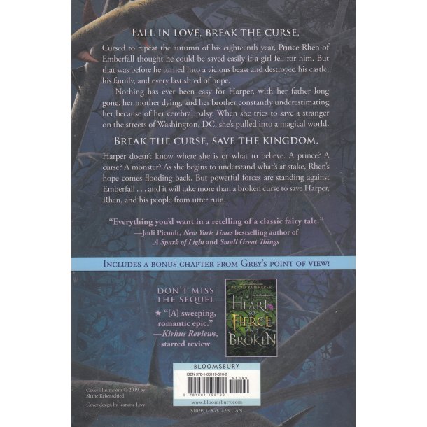 A Curse So Dark and Lonely (Bog)