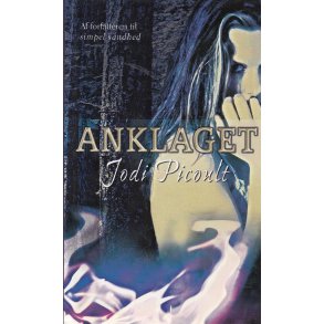 Anklaget (Bog)