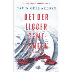 Det der ligger gemt i sneen (Bog)