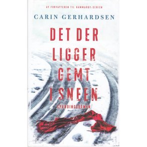 Det der ligger gemt i sneen (Bog)