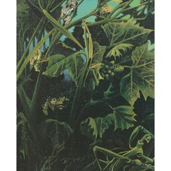 Dr�m og revolution (Bog)