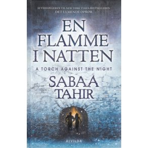 En flamme i natten (Bog)