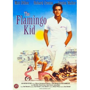 The Flamingo Kid (DVD)