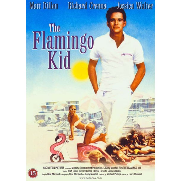The Flamingo Kid (DVD)