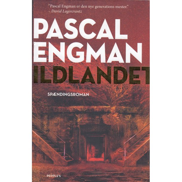 Ildlandet (Bog)