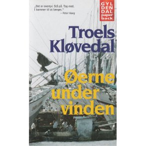 �erne under vinden (Bog)