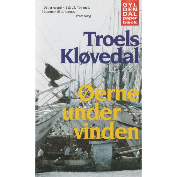�erne under vinden (Bog)