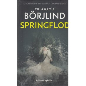 Springflod (Bog)