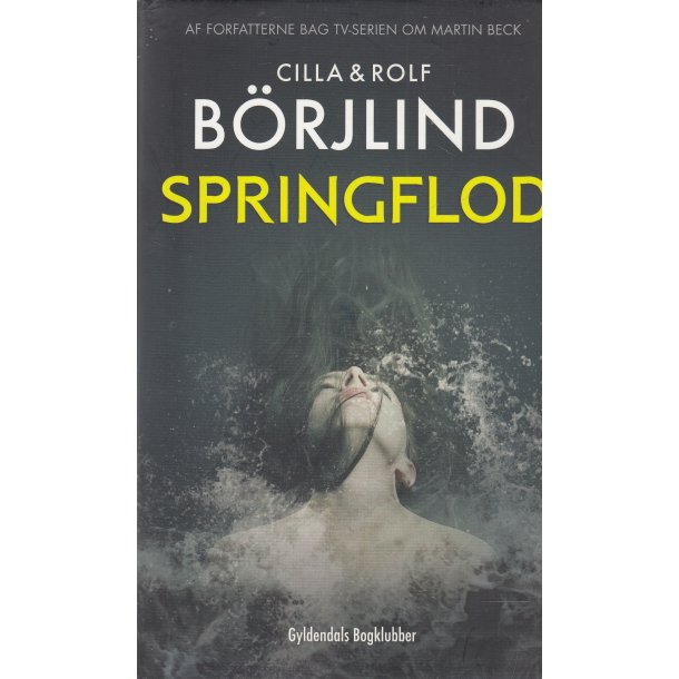 Springflod (Bog)