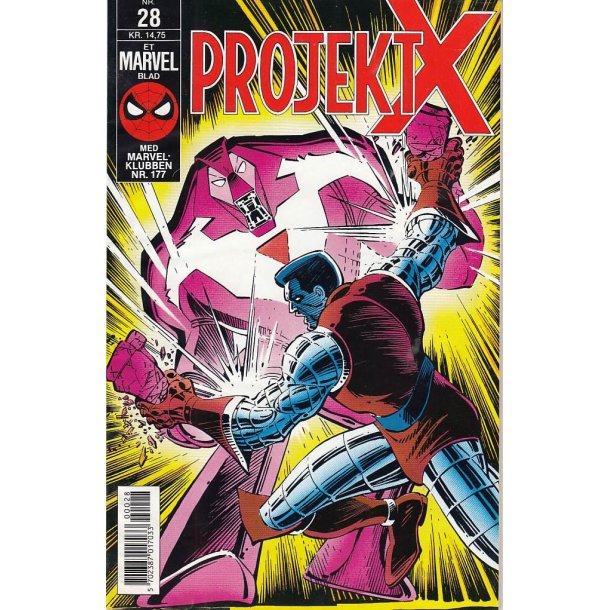 Projekt X 28