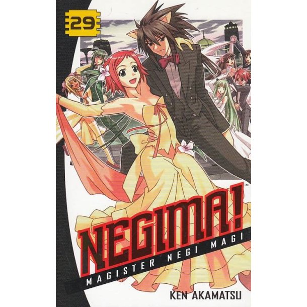 Negima 29 (Bog)