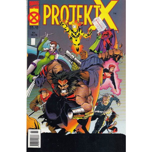 Projekt X 65
