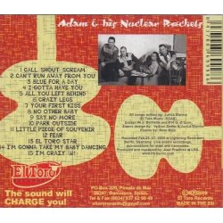 Little Piece Of Souvenir - 15 Rockers And Heartbreakers (CD)