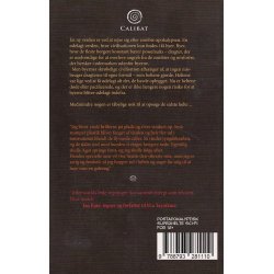 Afterworld 1 - Ildd�b (Bog)