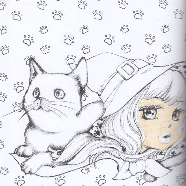 Best of Pop Manga Coloring Book (Bog)