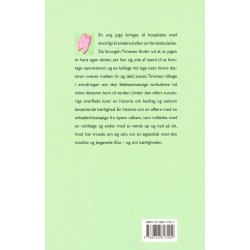 Bliv hvor du er (Bog)