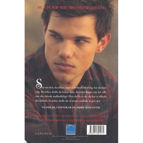 Breaking dawn - Daggry - Twilight sagaen (Bog)