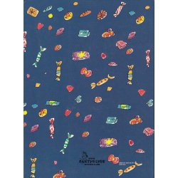 Charlie og Chokoladefabrikken (Bog)