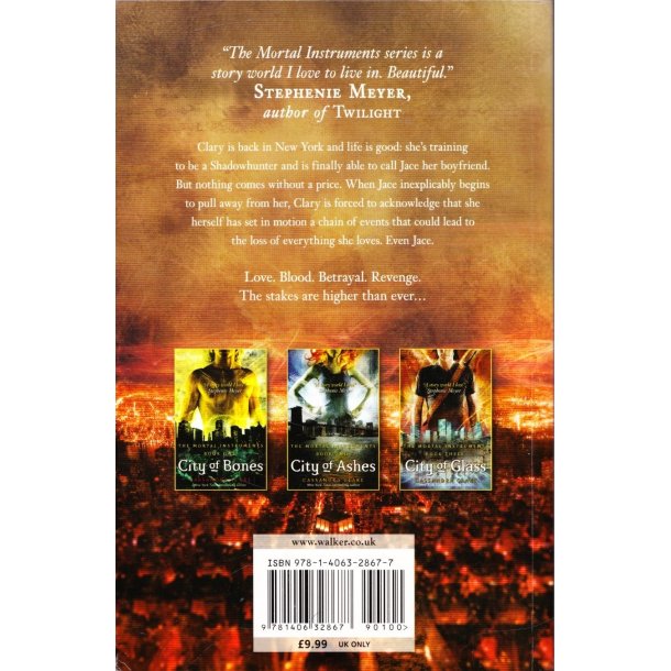 The Mortal instruments 4 - City of Fallen Angels (Bog)