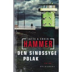 Den sindssyge polak (Bog)