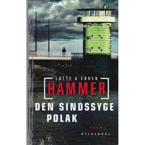 Den sindssyge polak (Bog)