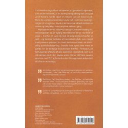 Den tabte sejr (Bog)