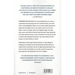 Den usynlige mand fra Salem (Bog)