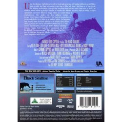 Den sorte hingst (DVD)