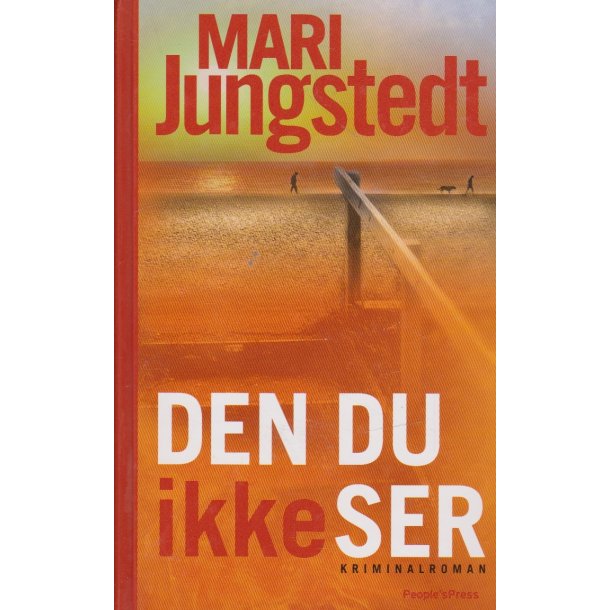 Den du ikke ser (Bog)