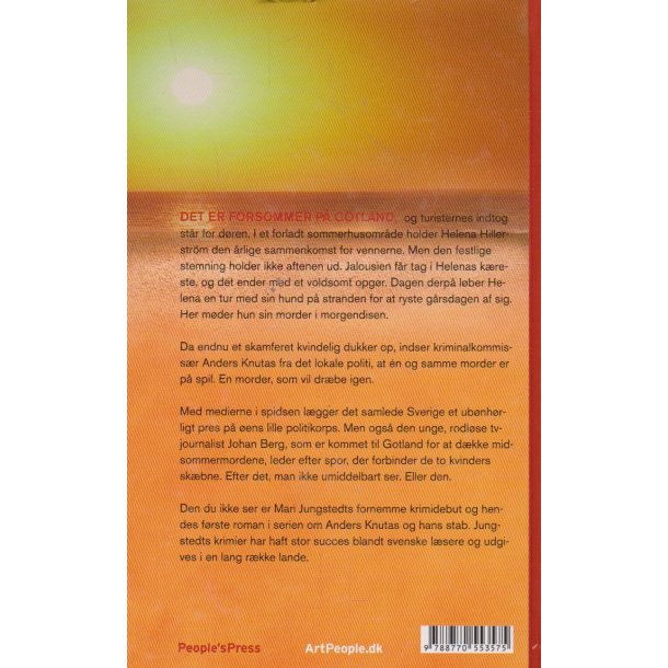 Den du ikke ser (Bog)