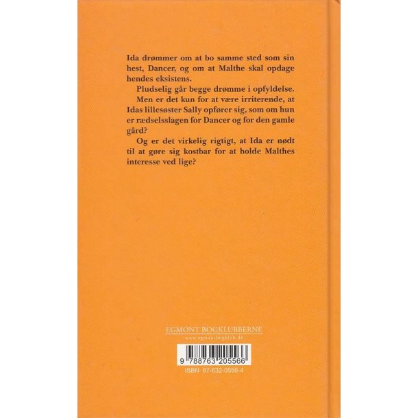 Det fremmede i Sally (Bog)