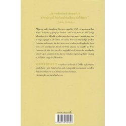 Det irske hotel (Bog)