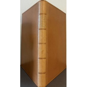 Die Bibel in der kunst (Bog)