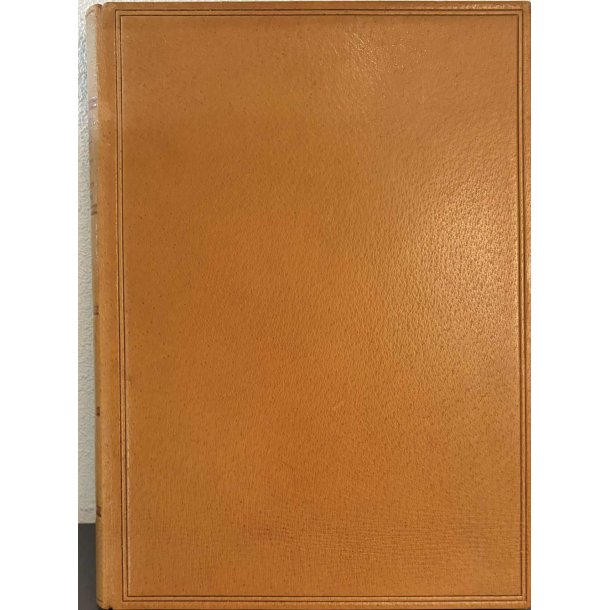 Die Bibel in der kunst (Bog)