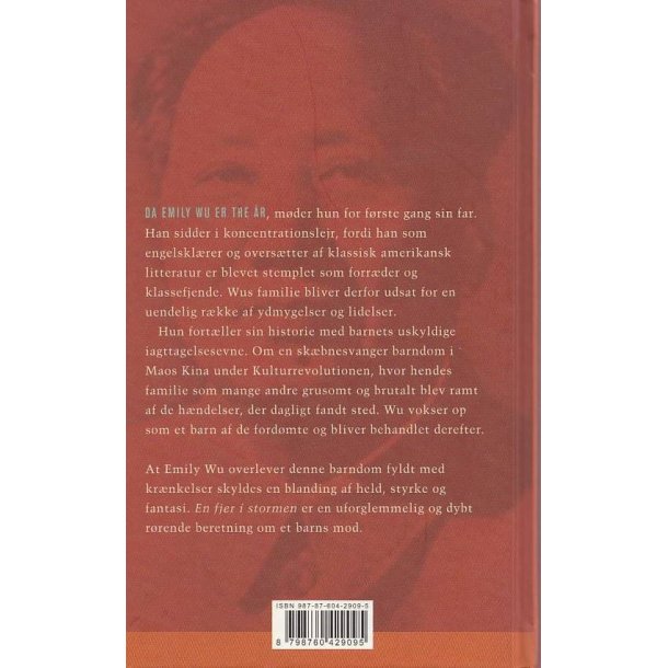 En fjer i stormen (Bog)