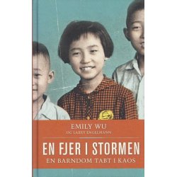 En fjer i stormen (Bog)