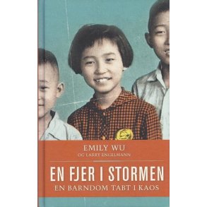 En fjer i stormen (Bog)