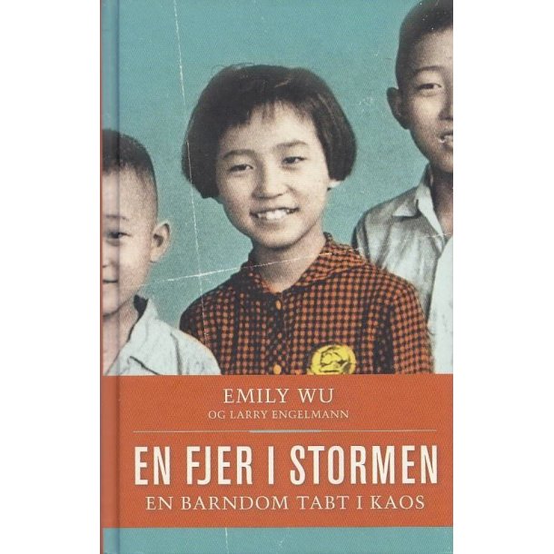 En fjer i stormen (Bog)