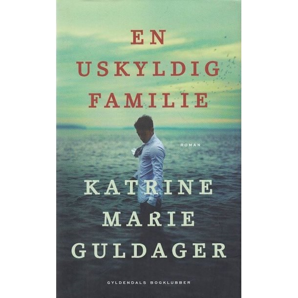 En uskyldig familie (Bog)