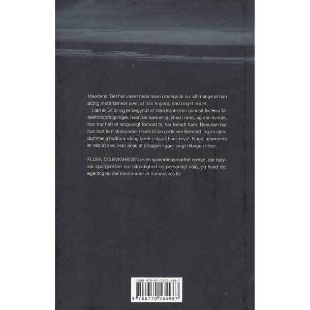 Fluen og evigheden (Bog)