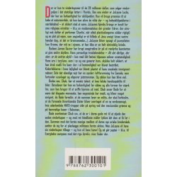 Forfulgt af held (Bog)