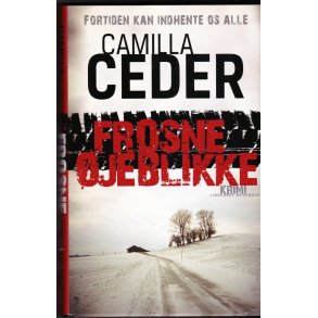 Frosne �jeblikke (Bog)