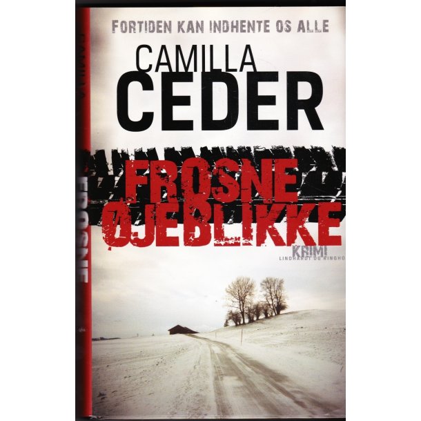 Frosne �jeblikke (Bog)