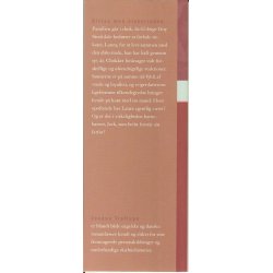 Giftes med elskerinden (Bog)